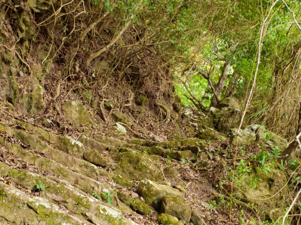 Cranford - Maskehorne Hill hike1