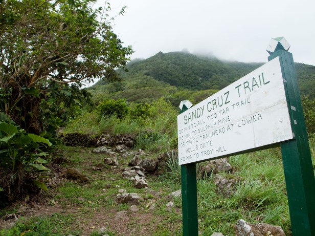 Cranford - Sandy Cruz trail
