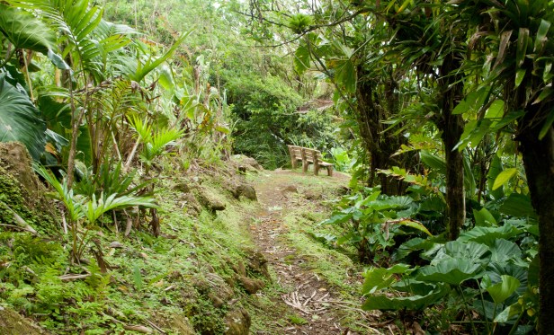 Cranford - Sandy Cruz, bench