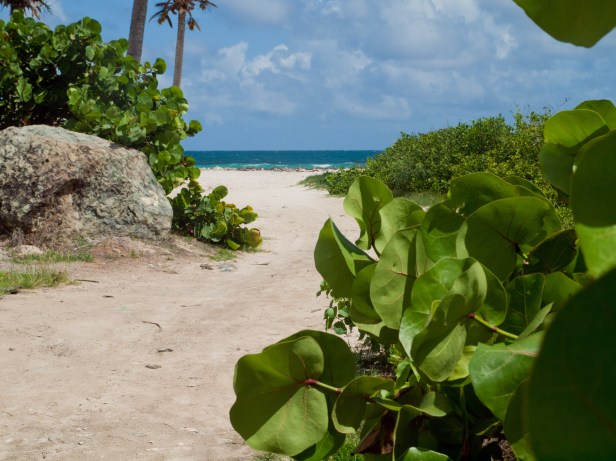 Cranford - Orient Bay beach