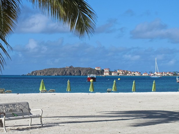 Photo by Shawn Ireland/jacarandajournal.weebly.com/